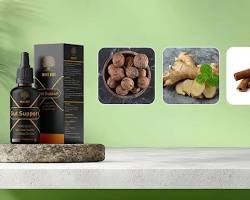 The Core Foundation: Why True Fitness Begins with Gut Wellness